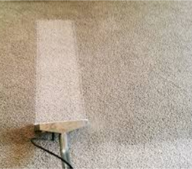 Professional Carpet Cleaning in Orlando Florida using professional