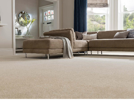 Professional Carpet Cleaning in Orlando Florida using professional