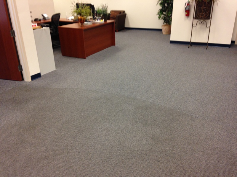 Professional Carpet Cleaning in Orlando Florida using professional